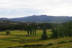 tasmanien 136 copyright piotr nogal