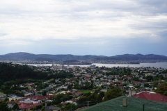 tasmanien 137 copyright piotr nogal