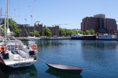 tasmanien 142 copyright piotr nogal