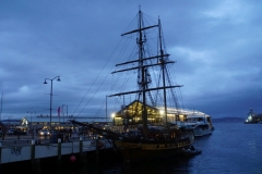 tasmanien 149 copyright piotr nogal