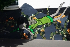 tasmanien 152 copyright piotr nogal