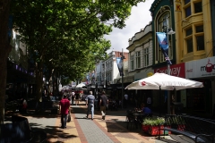 tasmanien 153 copyright piotr nogal