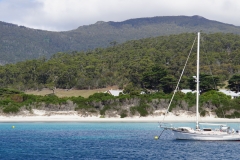 tasmanien 163 copyright piotr nogal