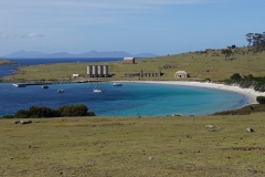 tasmanien 166 copyright piotr nogal