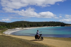 tasmanien 167 copyright piotr nogal