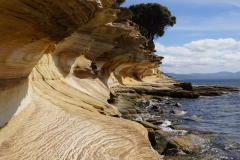 tasmanien 170 copyright piotr nogal