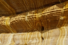 tasmanien 174 copyright piotr nogal