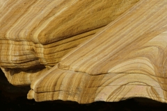 tasmanien 175 copyright piotr nogal