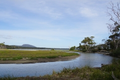 tasmanien 179 copyright piotr nogal