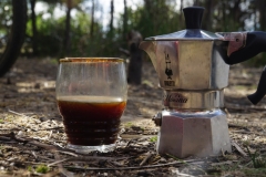 tasmanien 181 copyright piotr nogal