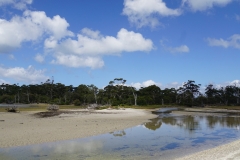 tasmanien 182 copyright piotr nogal