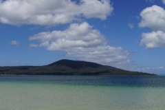 tasmanien 185 copyright piotr nogal