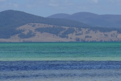 tasmanien 193 copyright piotr nogal