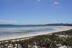 tasmanien 195 copyright piotr nogal