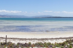 tasmanien 196 copyright piotr nogal