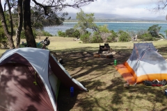 tasmanien 198 copyright piotr nogal