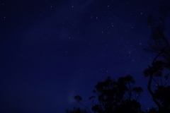 tasmanien 200 copyright piotr nogal