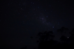 tasmanien 202 copyright piotr nogal