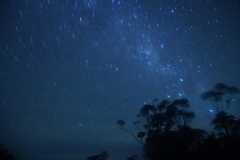 tasmanien 203 copyright piotr nogal