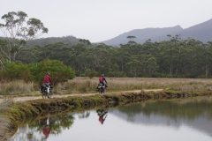 tasmanien 207 copyright piotr nogal
