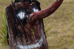 tasmanien 217 copyright piotr nogal