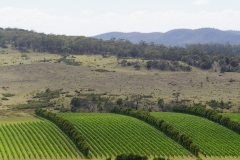 tasmanien 219 copyright piotr nogal