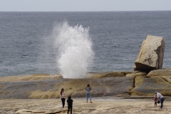 tasmanien 223 copyright piotr nogal