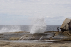 tasmanien 225 copyright piotr nogal