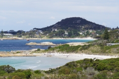 tasmanien 227 copyright piotr nogal