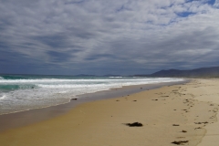 tasmanien 231 copyright piotr nogal