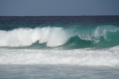 tasmanien 232 copyright piotr nogal