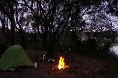 tasmanien 236 copyright piotr nogal