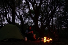 tasmanien 237 copyright piotr nogal