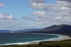 tasmanien 241 copyright piotr nogal