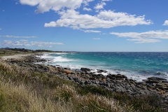 tasmanien 242 copyright piotr nogal