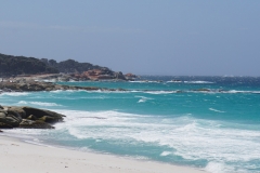 tasmanien 245 copyright piotr nogal