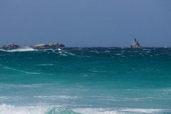 tasmanien 246 copyright piotr nogal