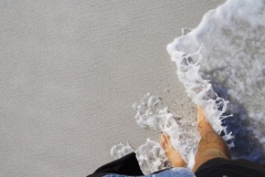 tasmanien 247 copyright piotr nogal