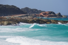 tasmanien 249 copyright piotr nogal