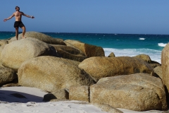 tasmanien 251 copyright piotr nogal