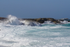 tasmanien 252 copyright piotr nogal