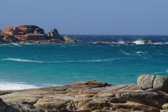 tasmanien 256 copyright piotr nogal