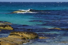 tasmanien 257 copyright piotr nogal