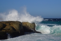 tasmanien 258 copyright piotr nogal