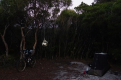 tasmanien 260 copyright piotr nogal