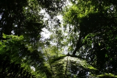 tasmanien 263 copyright piotr nogal