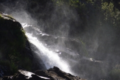 tasmanien 265 copyright piotr nogal