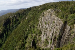 tasmanien 267 copyright piotr nogal