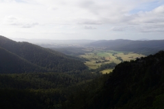 tasmanien 269 copyright piotr nogal