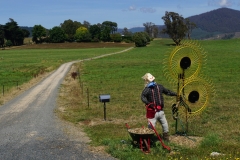 tasmanien 274 copyright piotr nogal